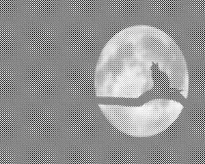 Katze bei Vollmond - Dottingo