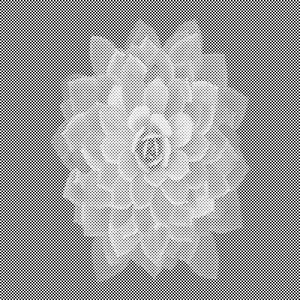 Mandala Blume in Vergessenheit - Dottingo