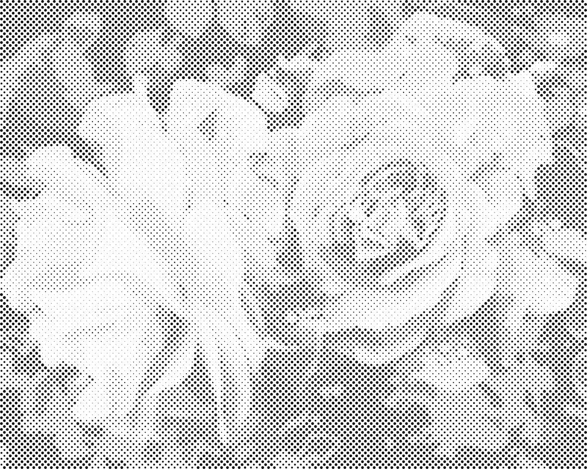 Rosen, Schönheitsblumen - Dottingo