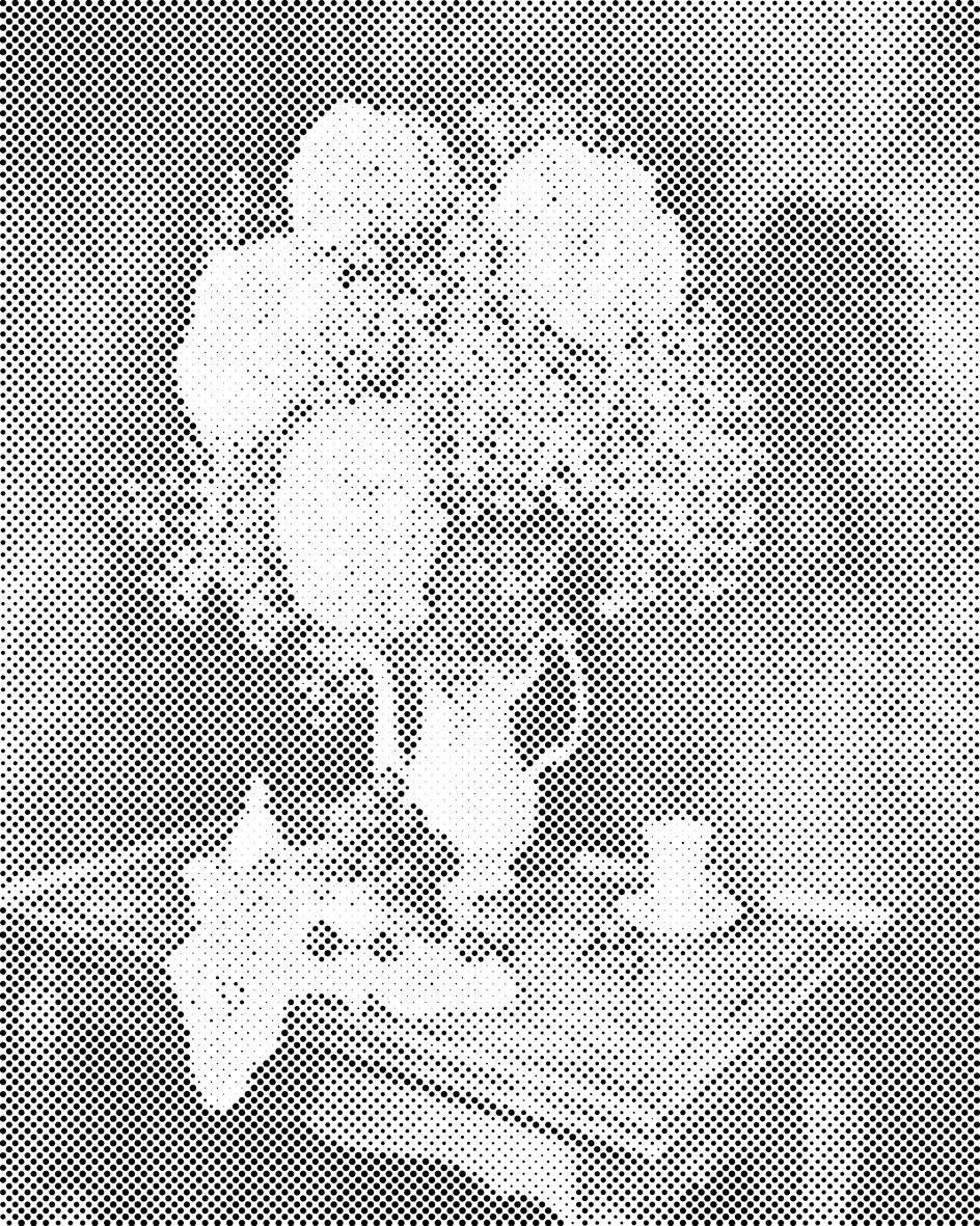 Bouquet von Hortensien - Dottingo