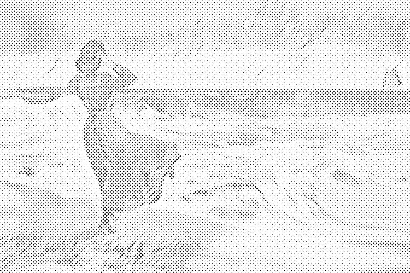 Dame am Strand - Dottingo