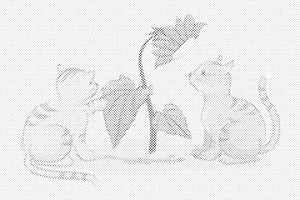 Katzen und Blumen - Dottingo