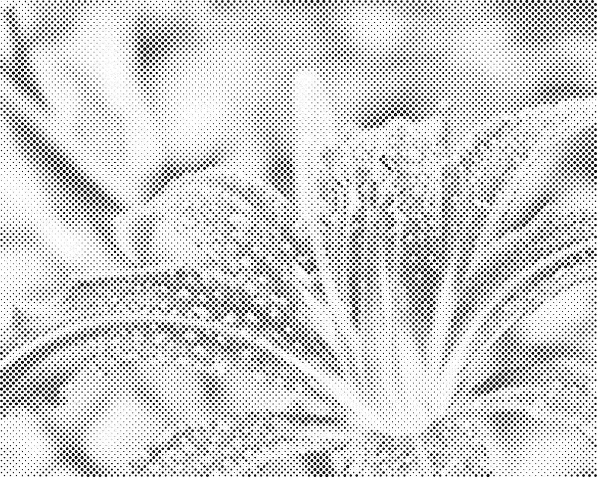 Wassertropfen auf einer Lilienblume - Dottingo