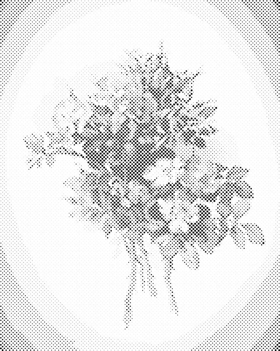 Vintage Blumen VII - Dottingo