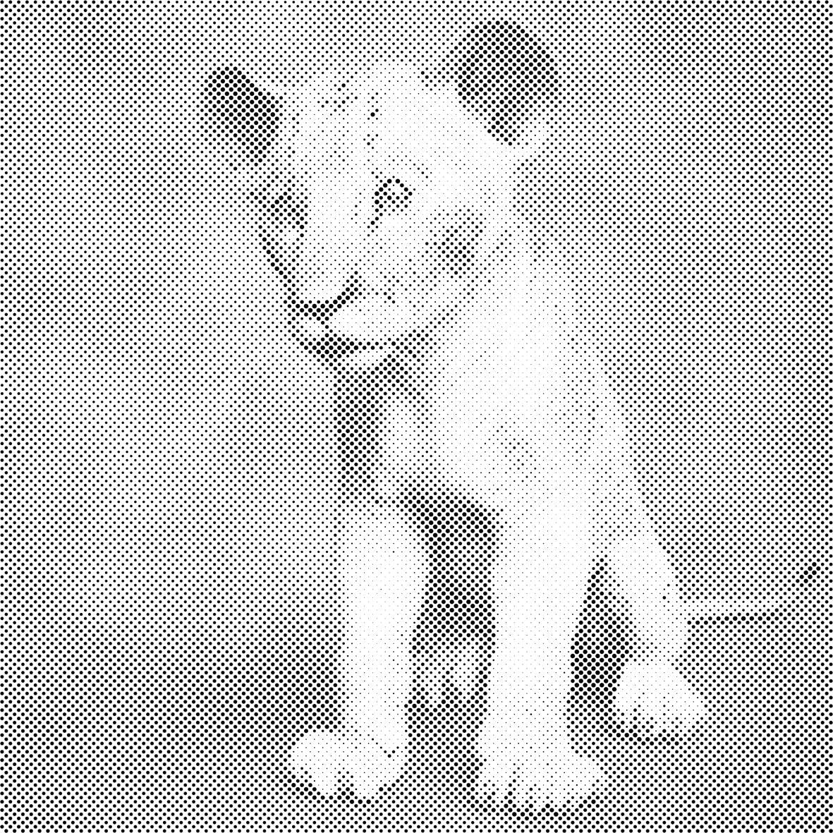 Kleiner Simba - Dottingo