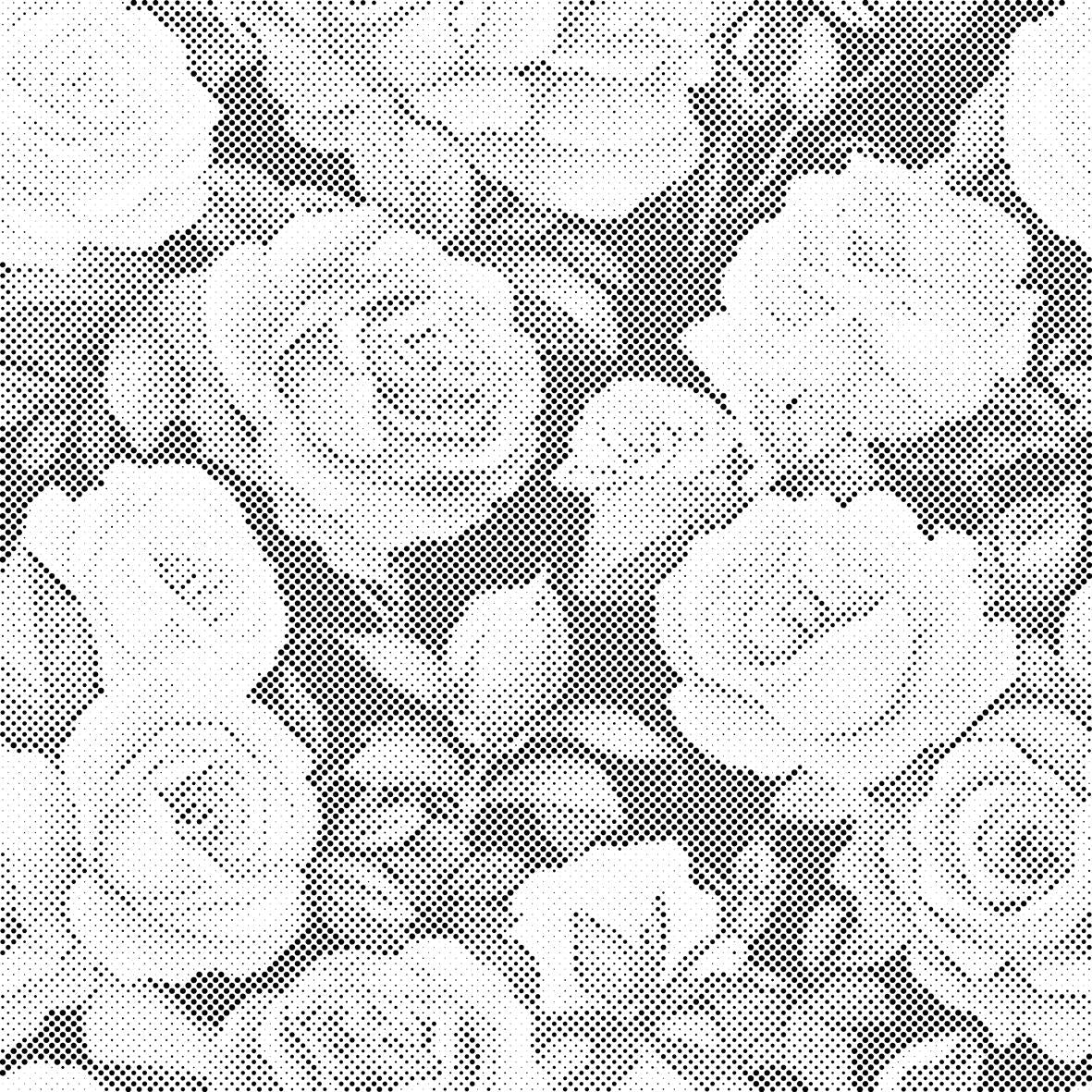 Blumiger Hintergrund - Rosen - Dottingo