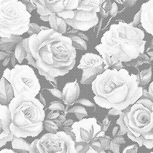 Blumiger Hintergrund - Rosen - Dottingo
