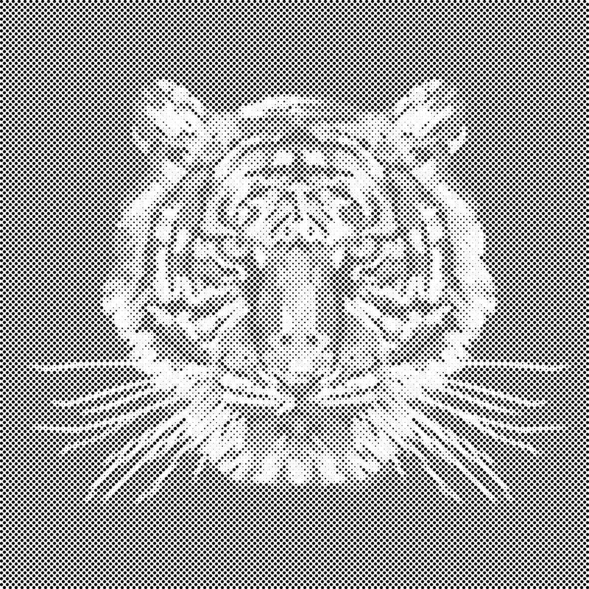 Tiger mit schwarzem Hintergrund - Dottingo