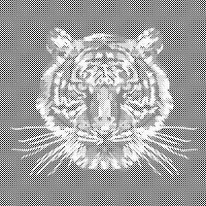 Tiger mit schwarzem Hintergrund - Dottingo