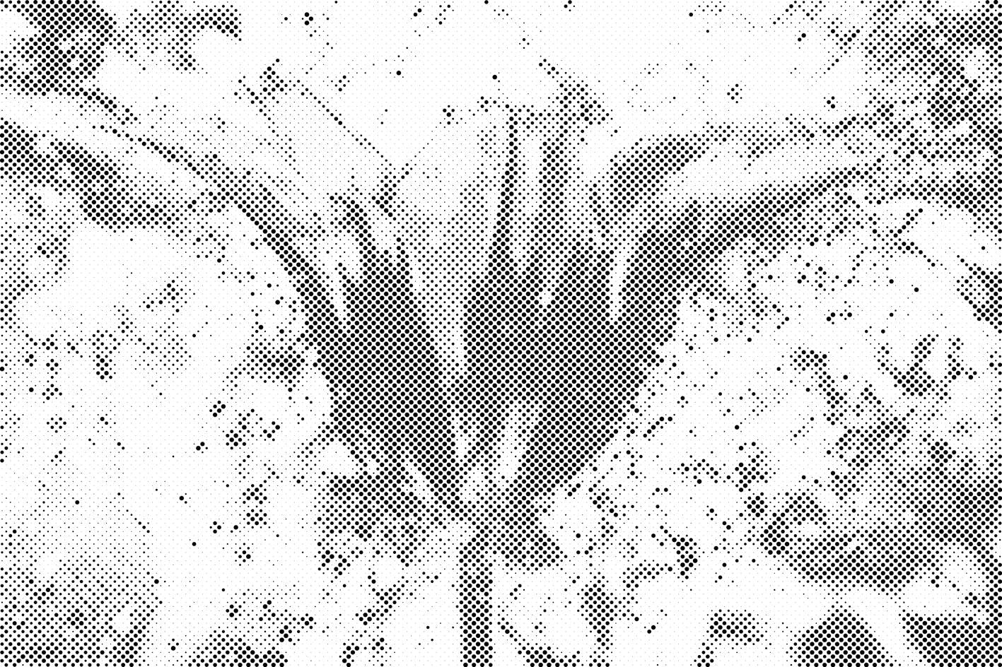 Blühende Tulpe - Dottingo