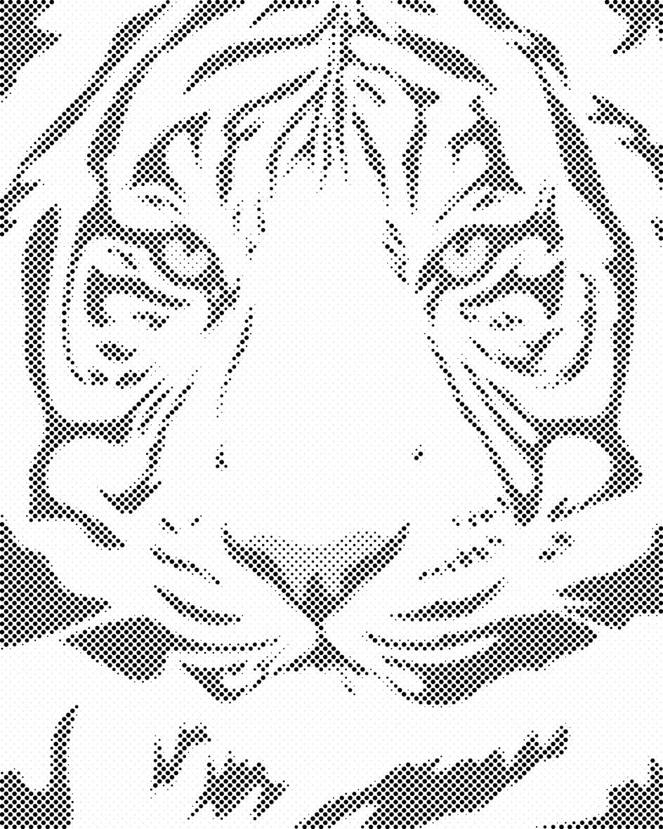 Schwarzweiss-Tigerkopf - Dottingo