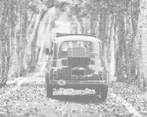 Fiat 500 - Dottingo