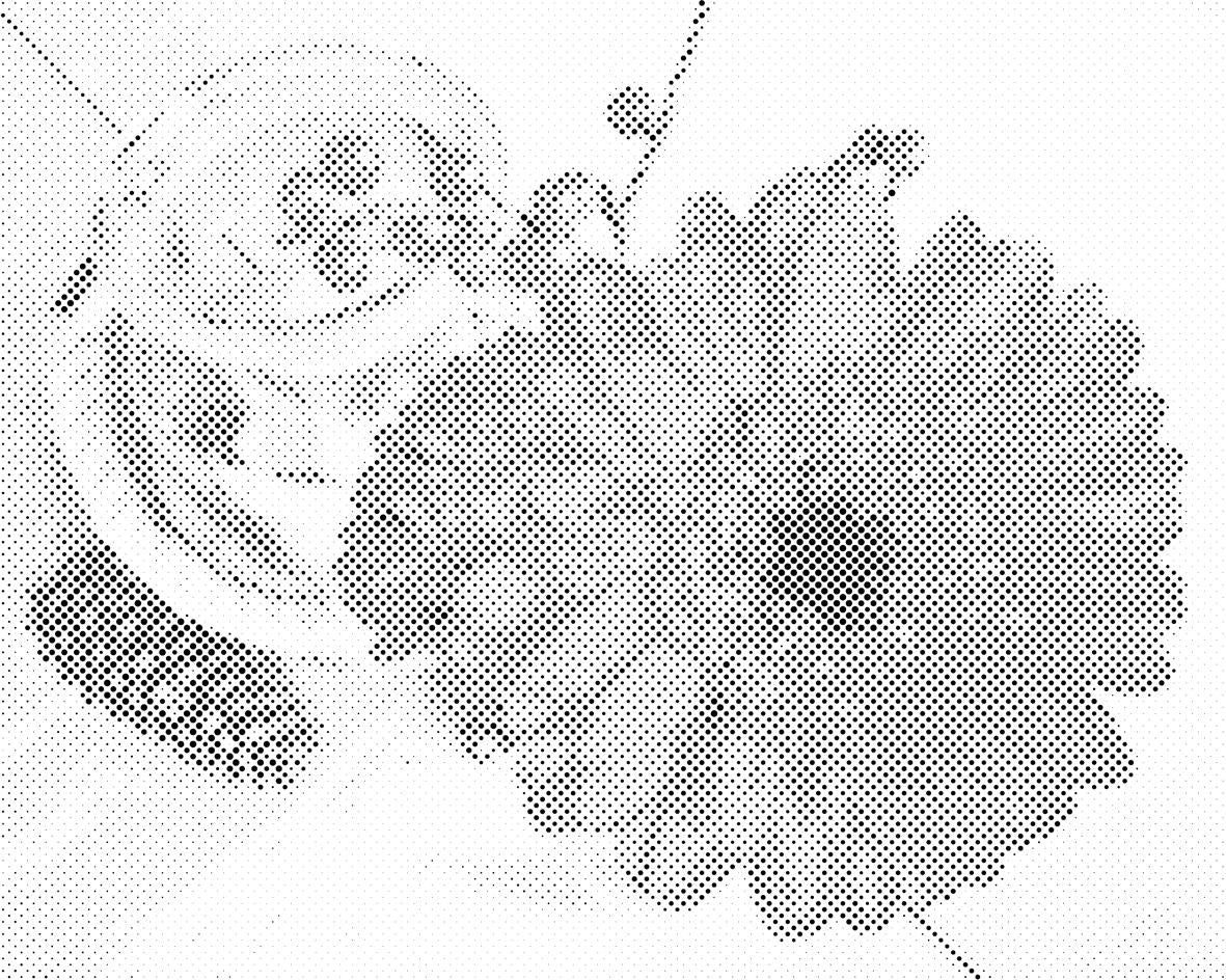 Gerbera und Kerze - Dottingo