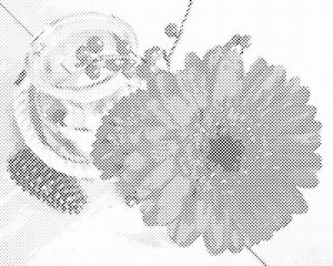 Gerbera und Kerze - Dottingo