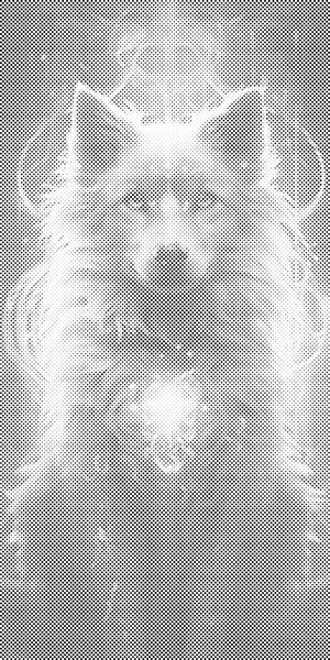 Magischer Wolf - Dottingo