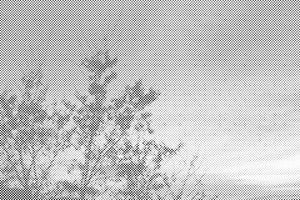 Bunter Himmel - Dottingo