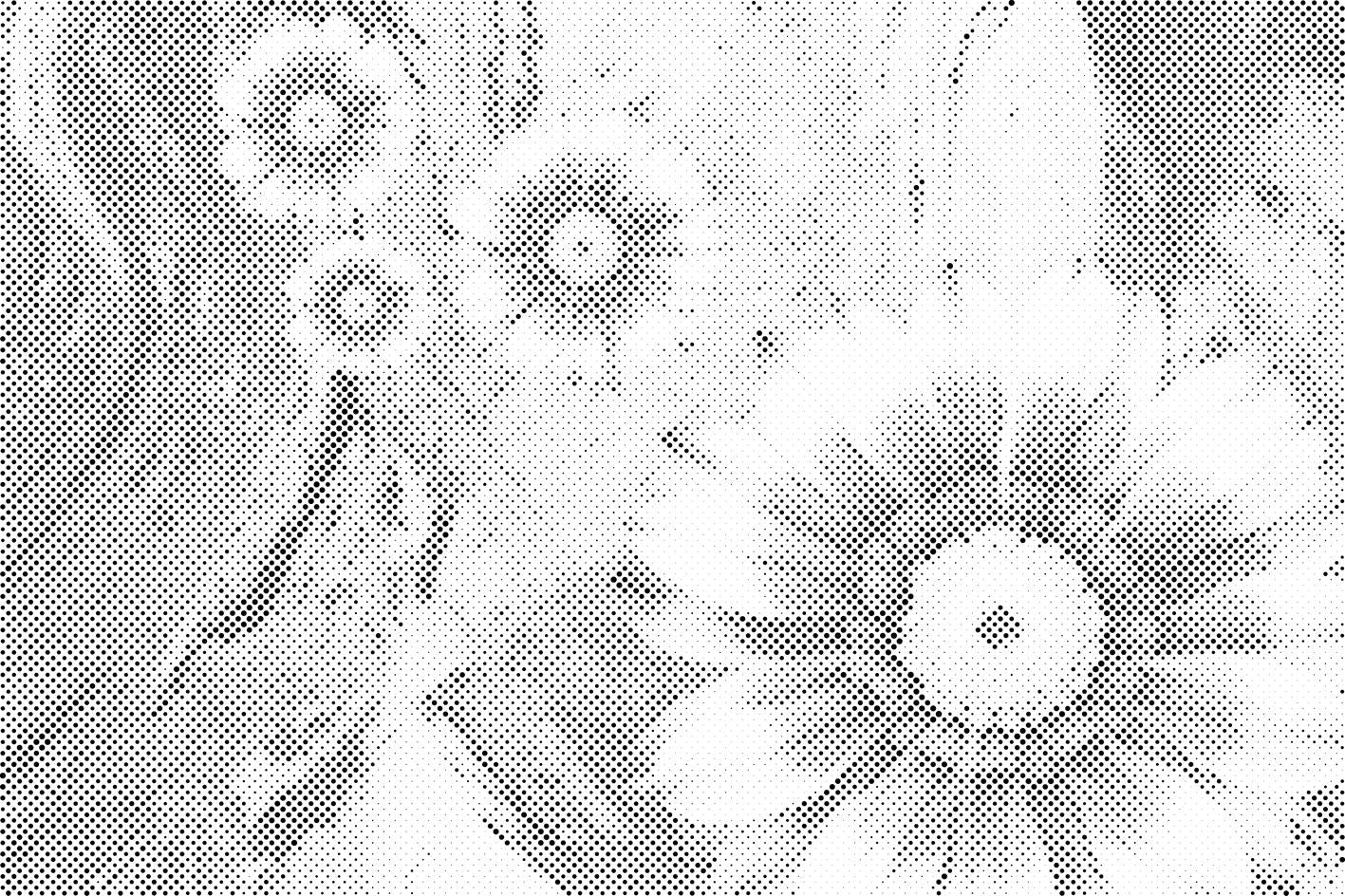 Sommerblumen - Dottingo