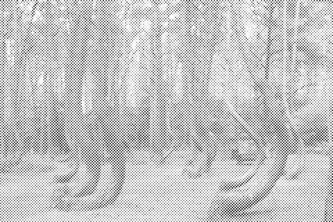 Schiefer Wald - Dottingo