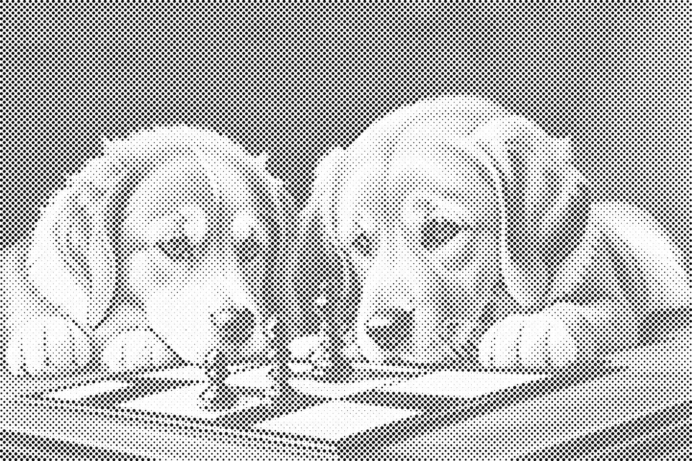 Hund spielen Schach 1 - Dottingo