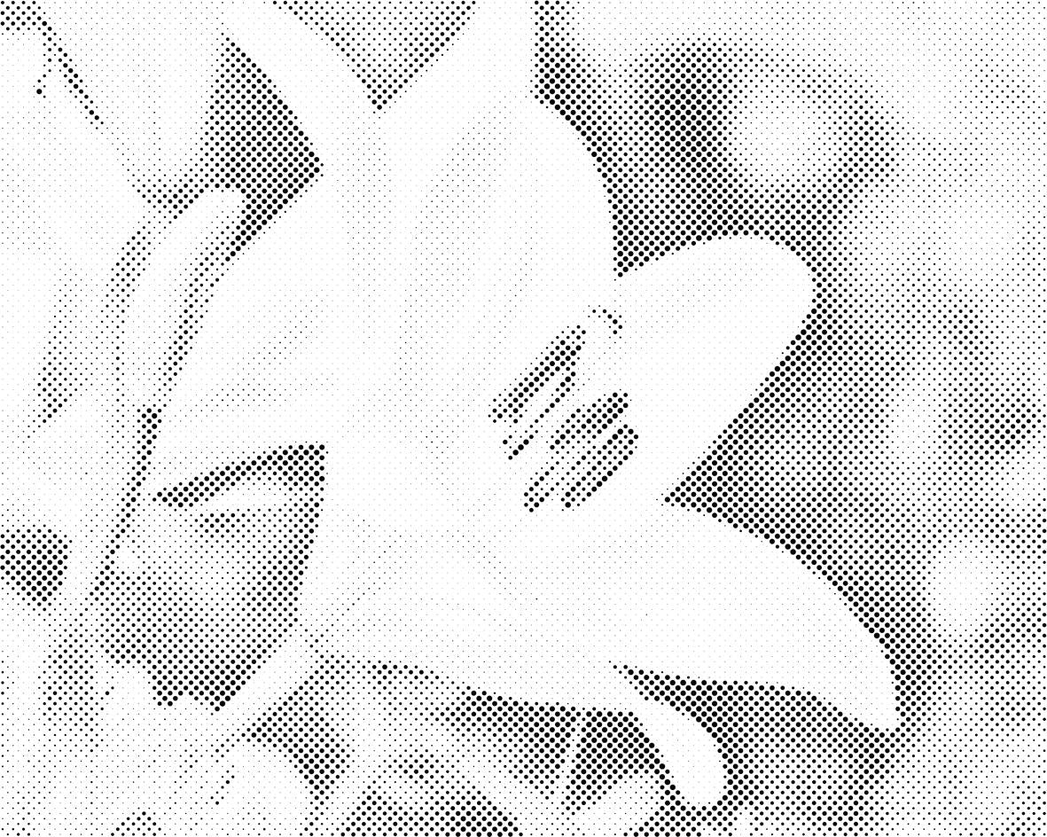 Weiße Lilie - Dottingo
