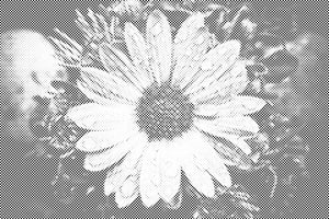 Tropfen auf die Blume - Dottingo