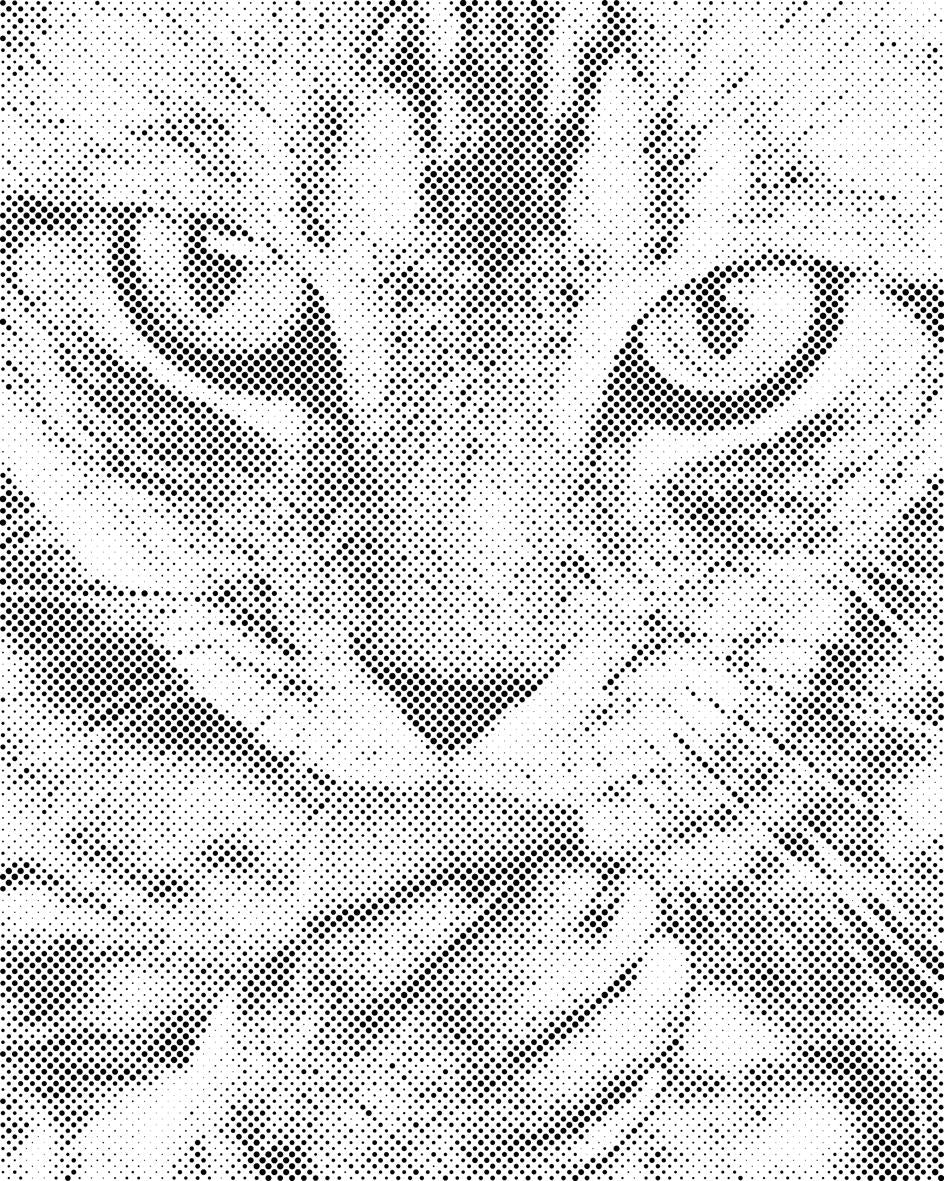Niedliche Katze - Dottingo