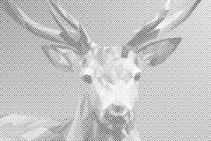 Vektorhirsch - Dottingo