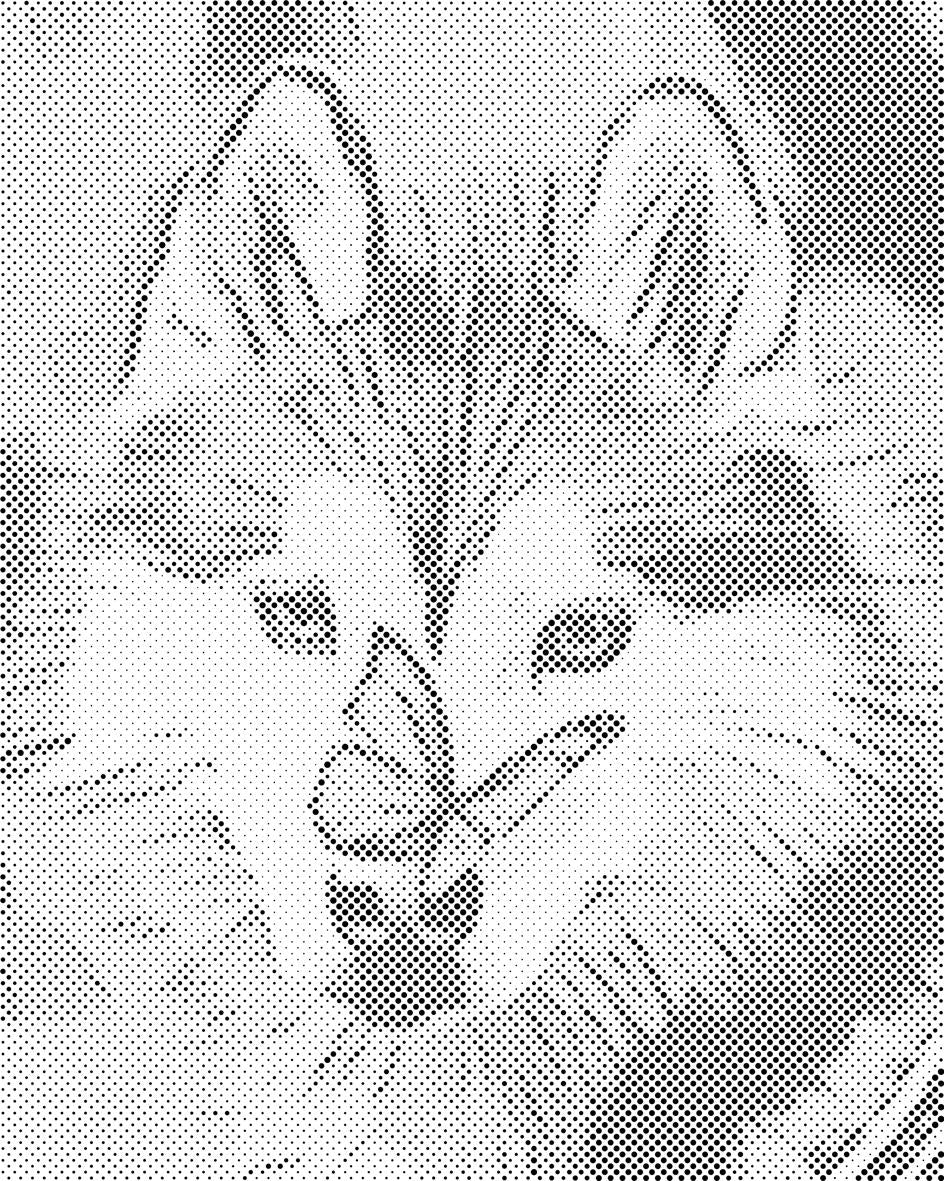 Schmetterling und Husky - Dottingo