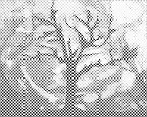 Baum mit zauberhaftem Hintergrund - Dottingo