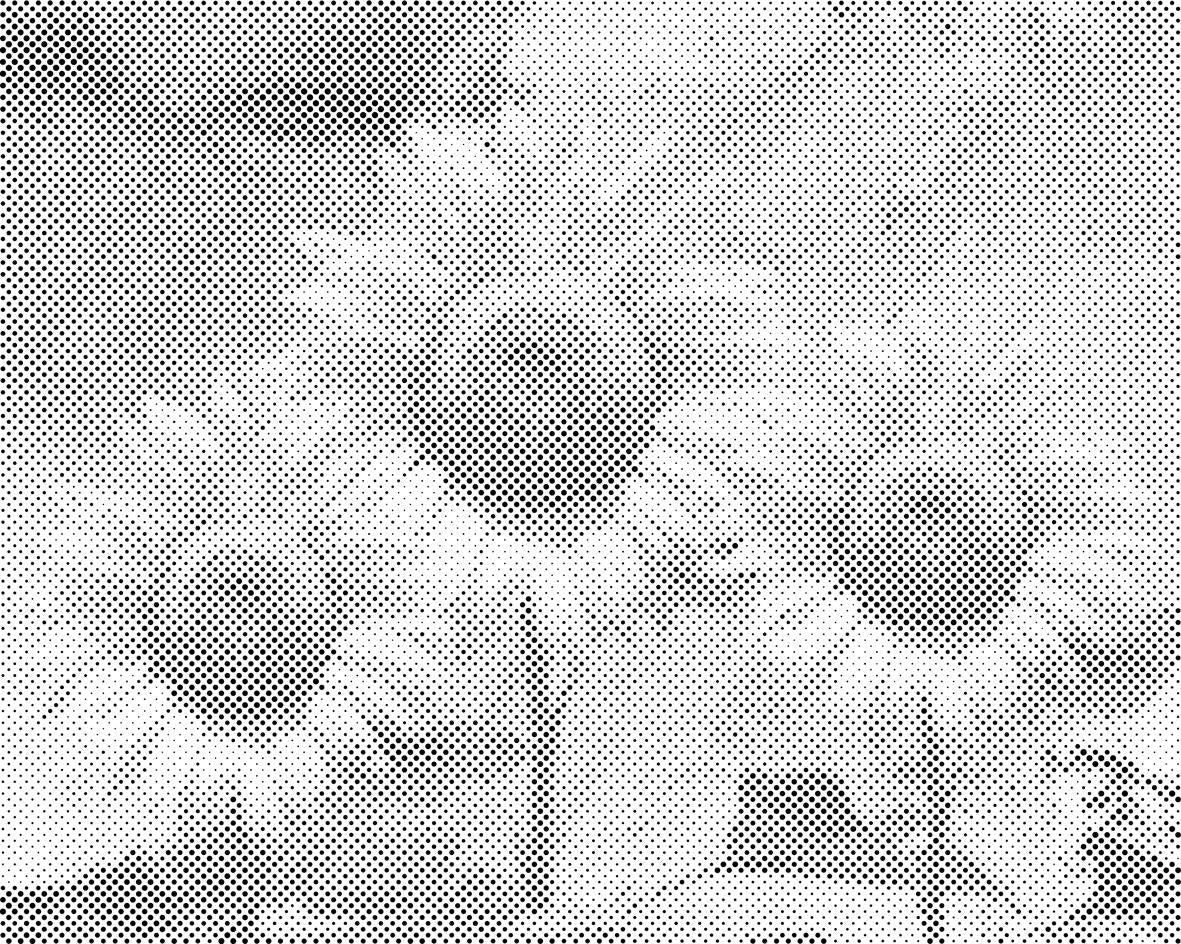 Sonnenblumen im Studio - Dottingo