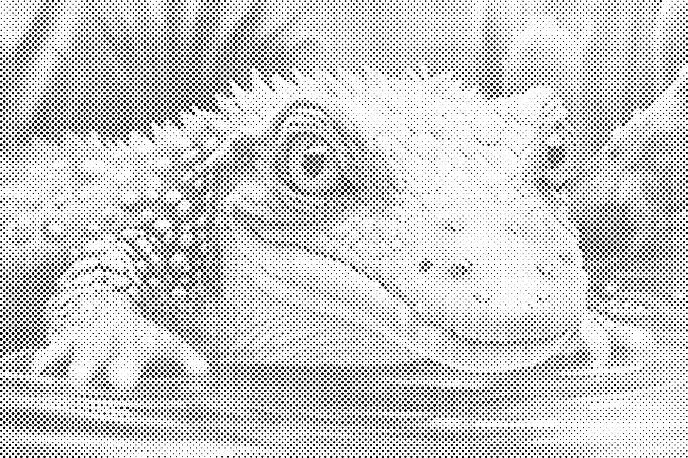 Kleines Krokodil - Dottingo