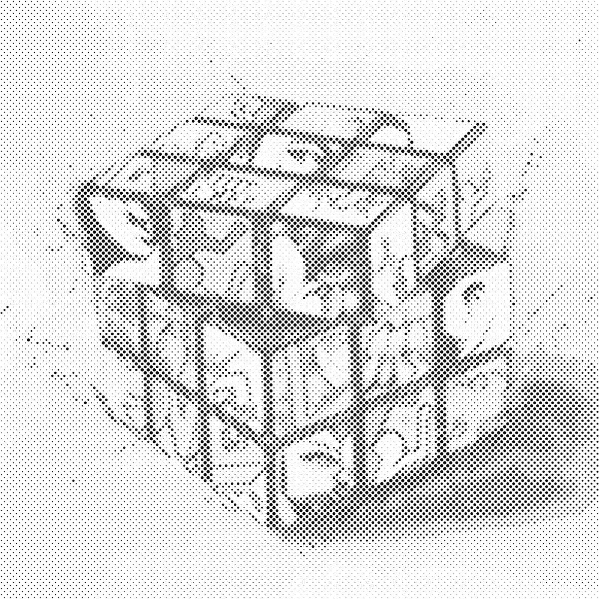 Zauberwürfel - Dottingo