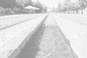 Čermelský-Bach - Dottingo