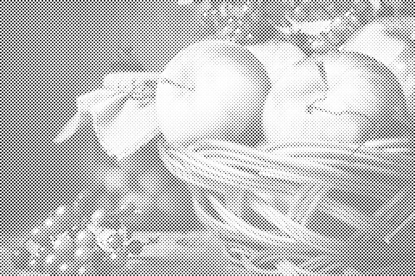 Obst aus dem Garten - Dottingo