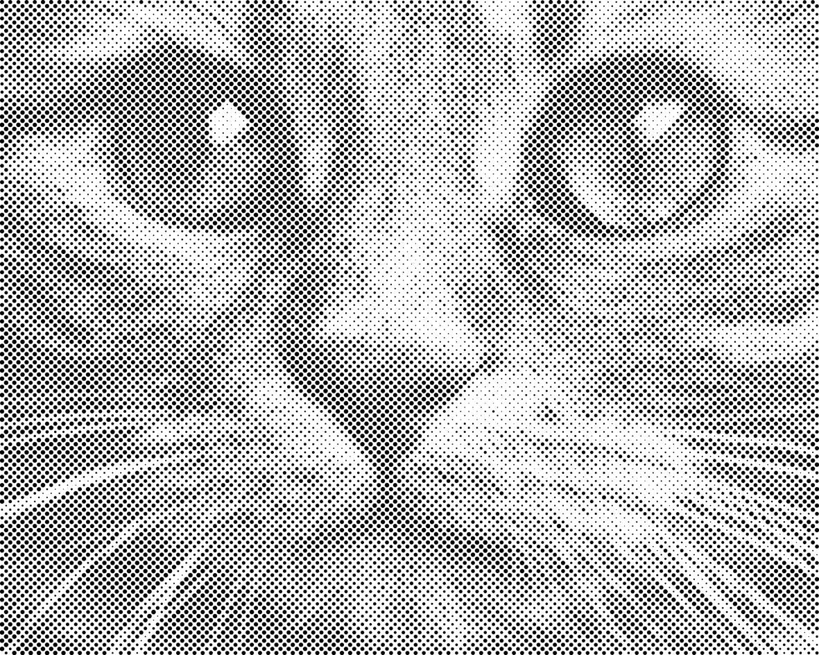 Der Blick einer Katze - Dottingo