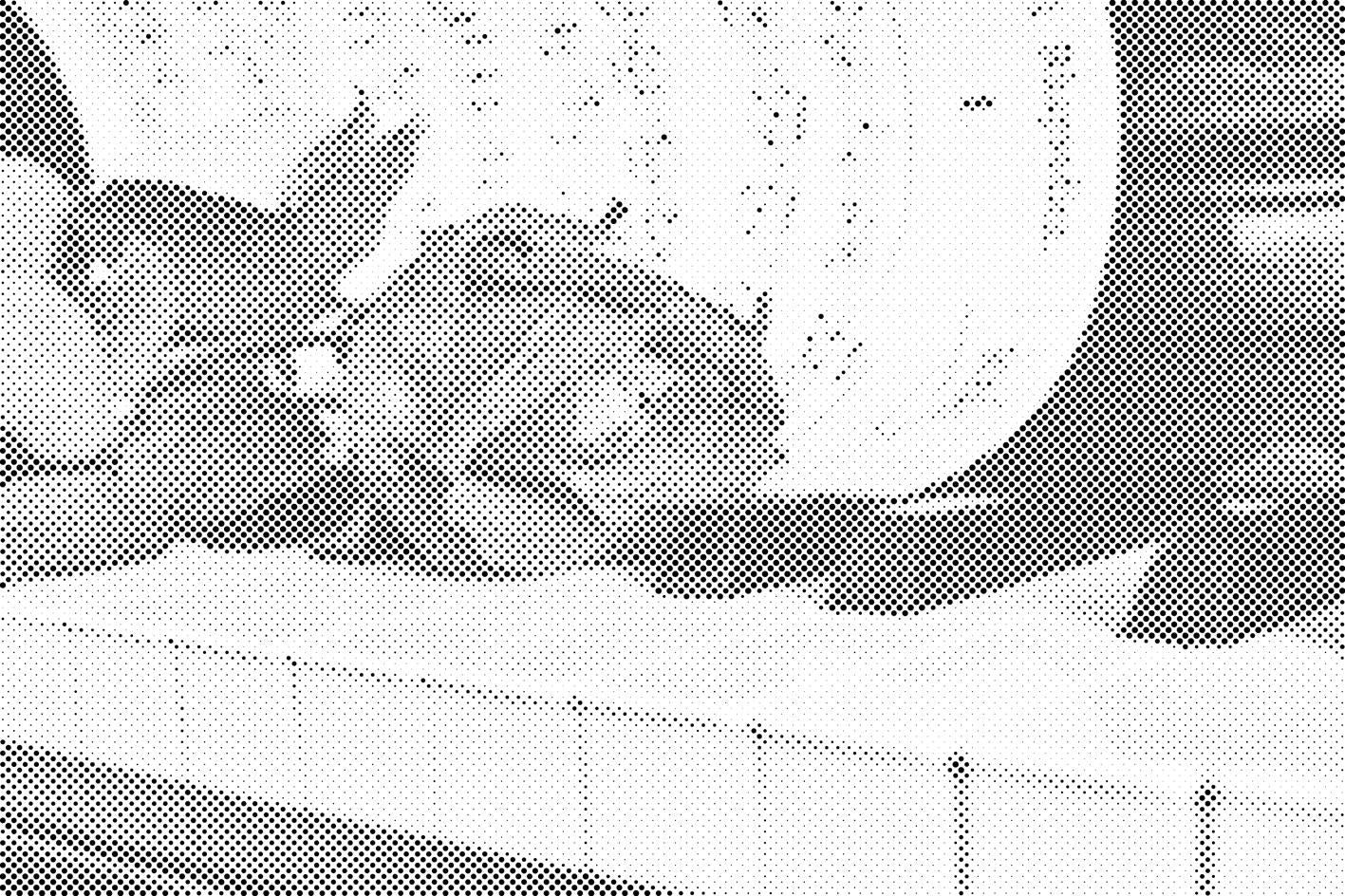 Rose am Klavier - Dottingo