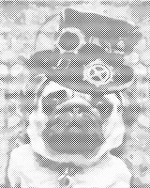 Mops mit Hut - Dottingo