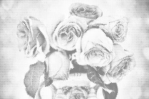 Rosen in einer Vase - Dottingo